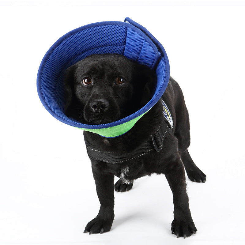 Dog Cat Anti-bite Collar Pet Medical Recovery Collars Transparent