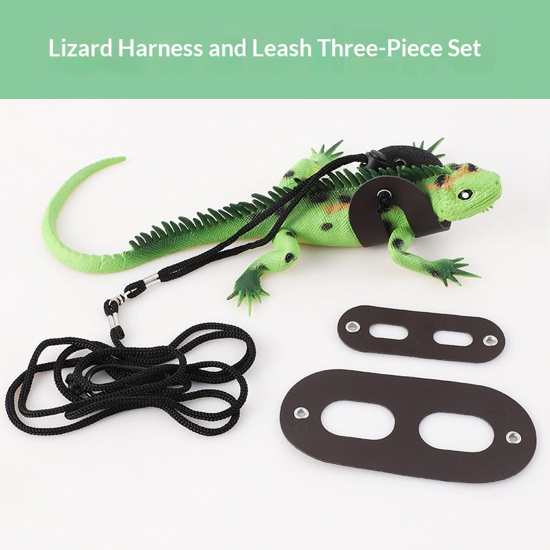 Pet Harness And Reptile Carrier Leash For Outings