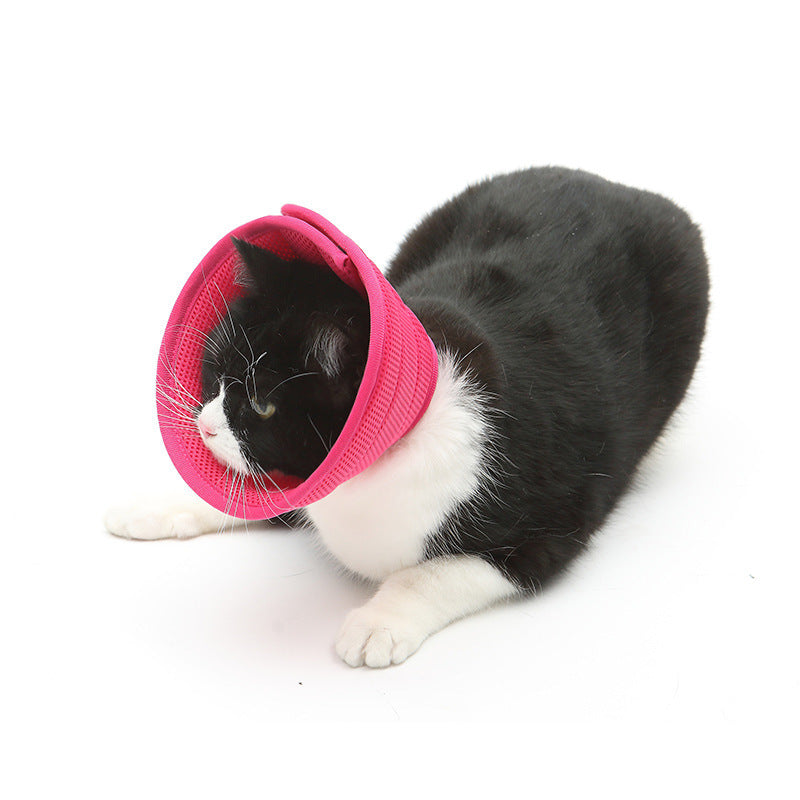 Dog Cat Anti-bite Collar Pet Medical Recovery Collars Transparent