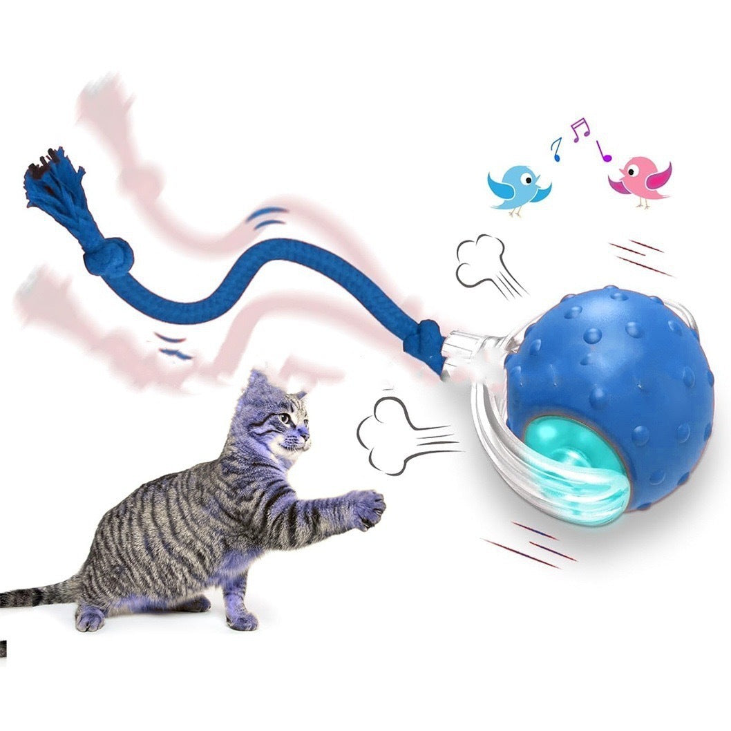 Interactive Cat Toy Ball Super Drive Rolling