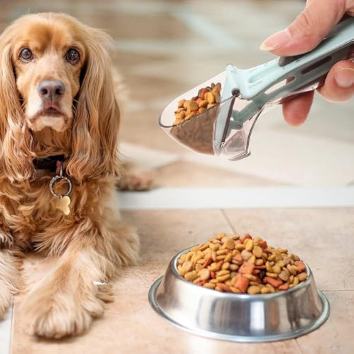 Spoon Pet Measuring Dog Food Cups Coffee Scoop Pet Cat Scale Liquid