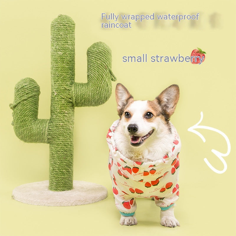 Short Leg Captain Golden Retriever Corgi Fully Wrapped Waterproof