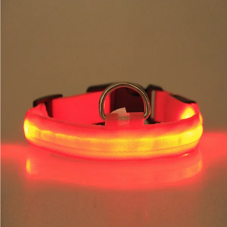 LED Pet Safety Halo Style Collar
