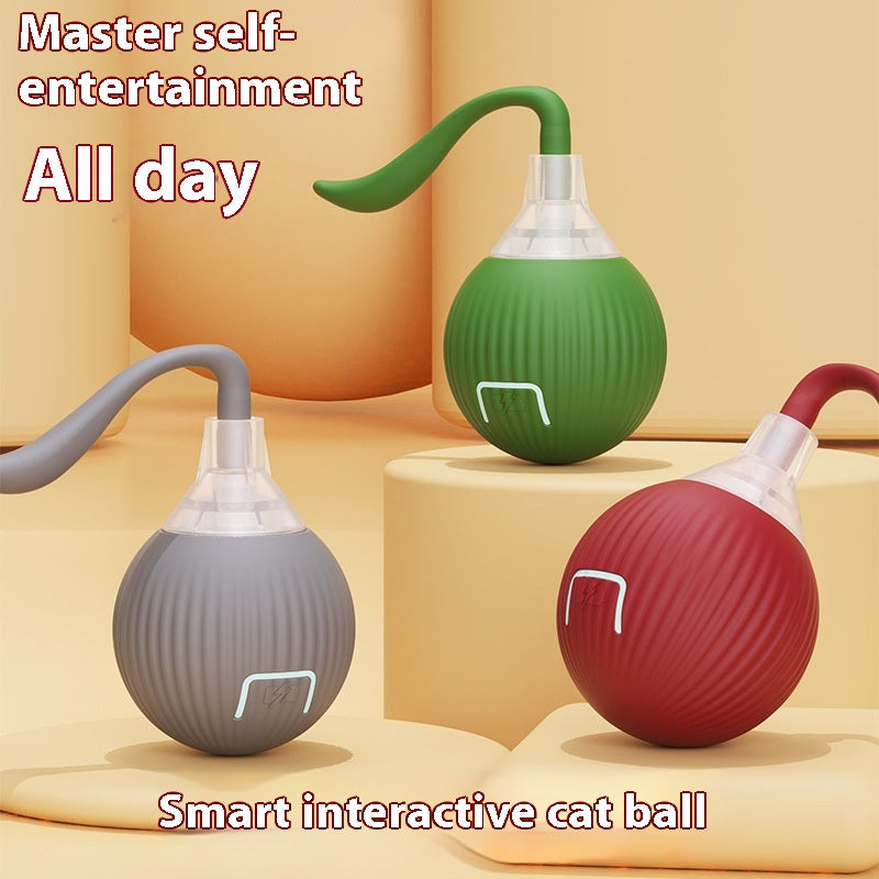 Interactive Cat Toy Ball Super Drive Rolling