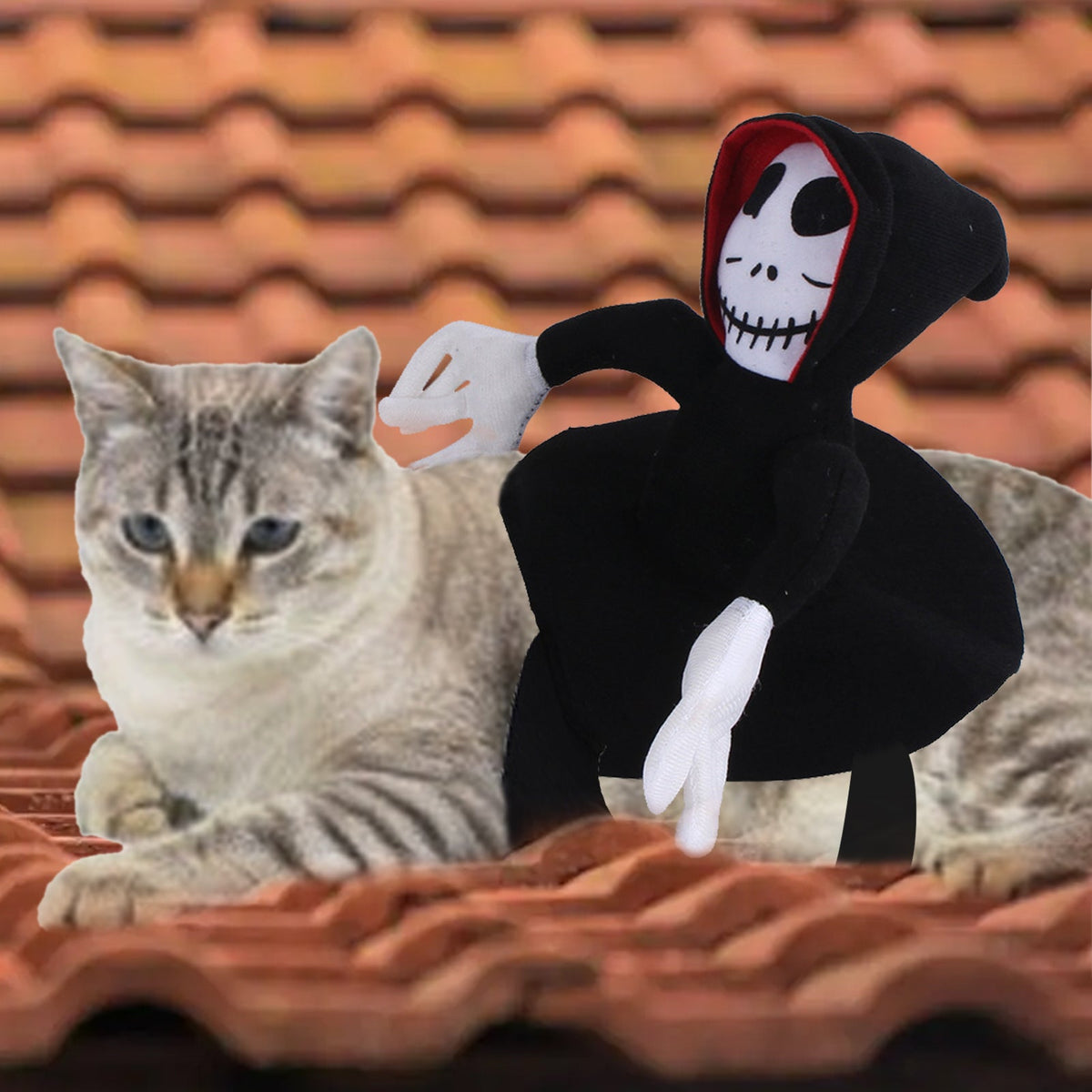 New Funny Pet Halloween Costume Pet Decoration Dress Up Pet Cosplay