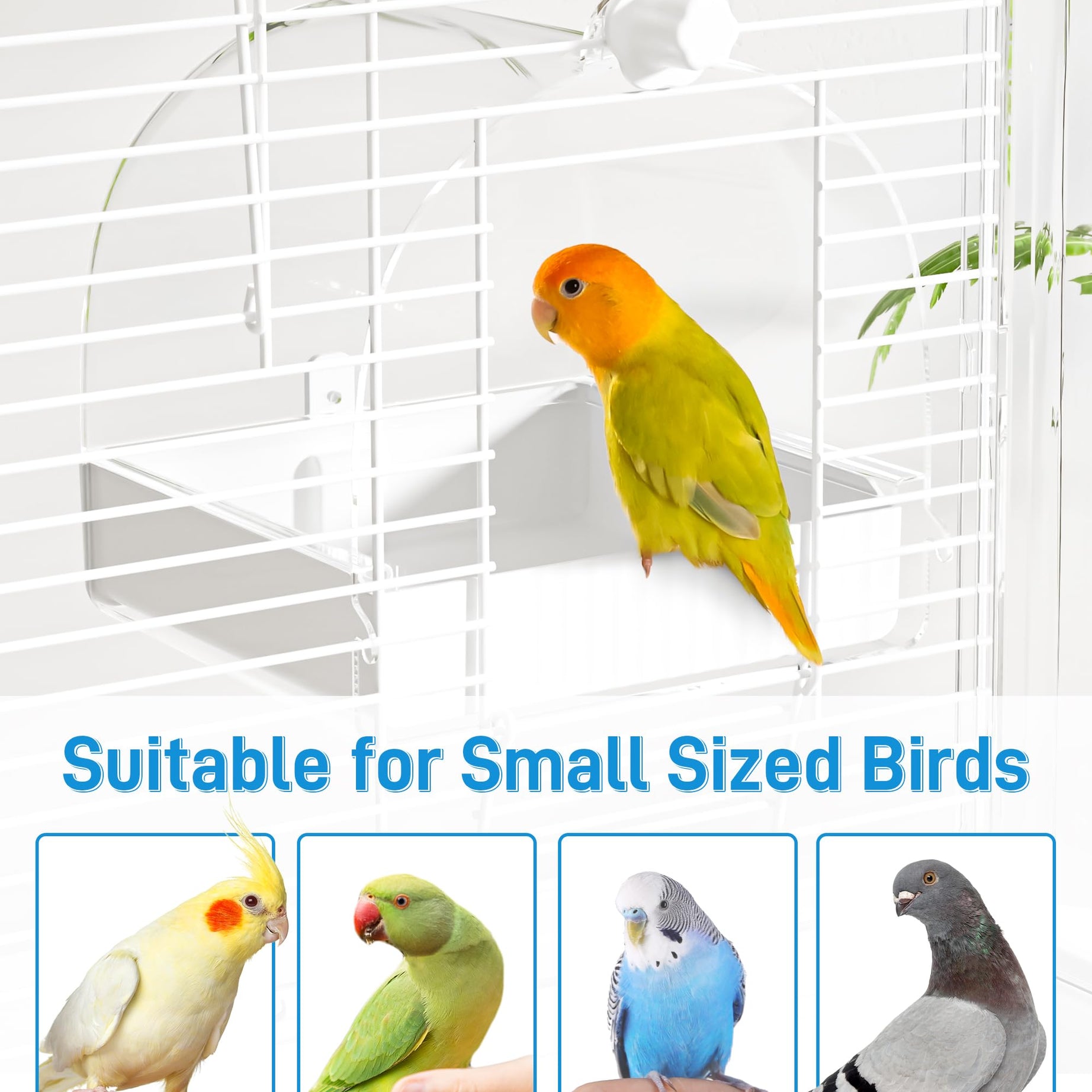 Hanging Bird Bath For Cage 3-in-1 Multifunction Bath&bowl&house