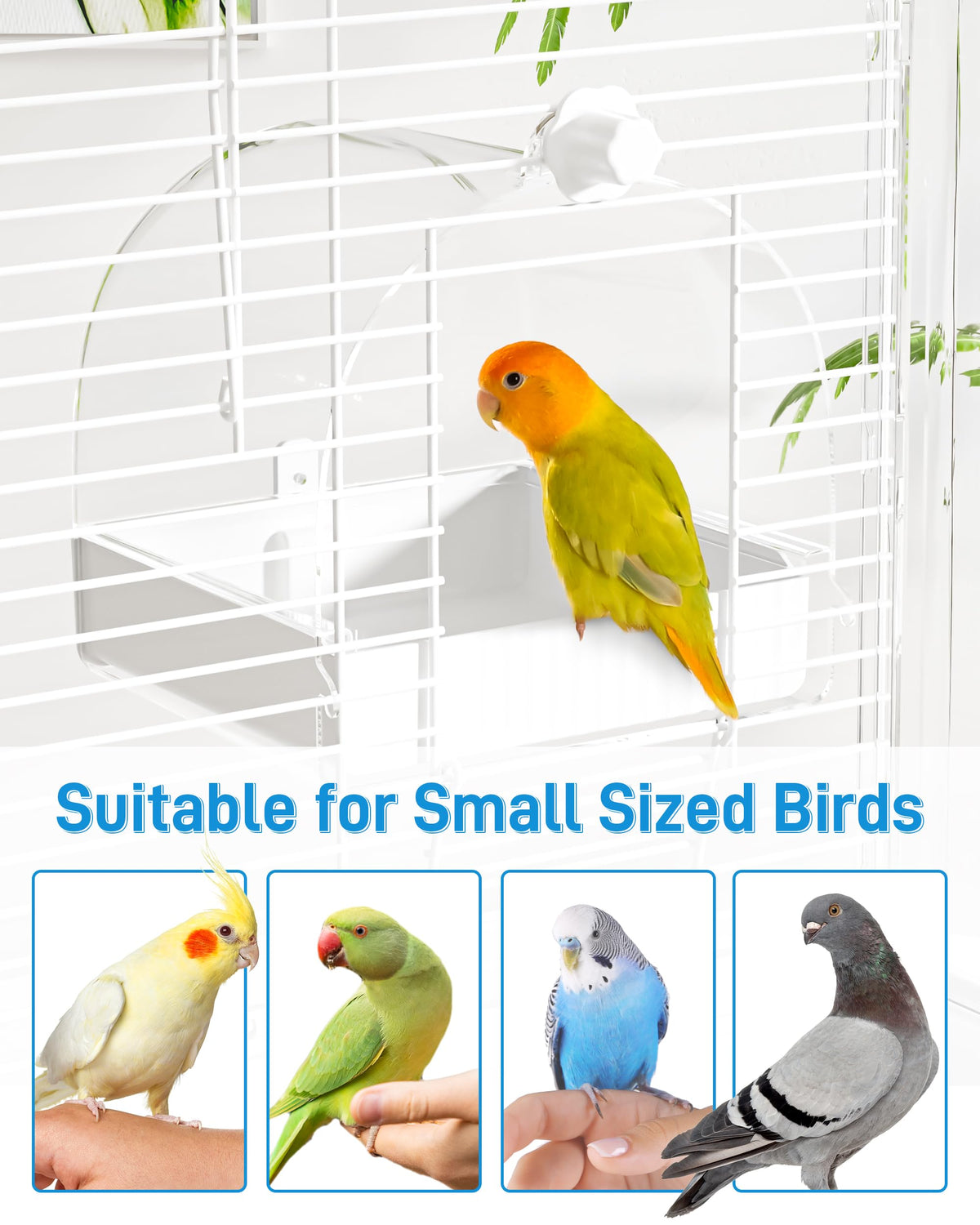 Hanging Bird Bath For Cage 3-in-1 Multifunction Bath&bowl&house