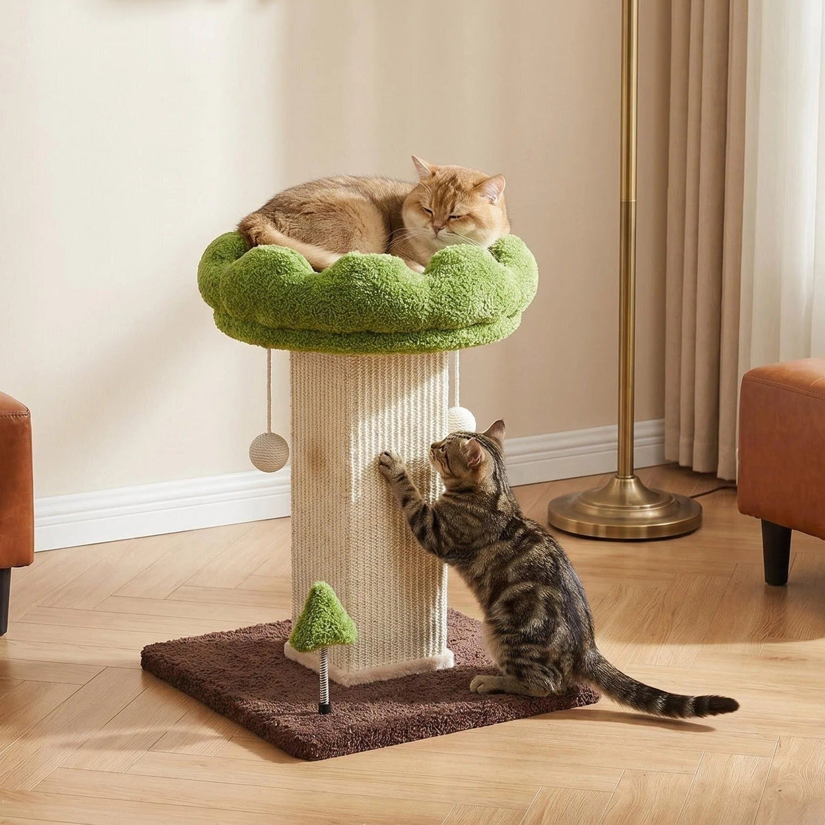 Flower Cat Scratching Post For Indoor Cats Scratcher With Perch