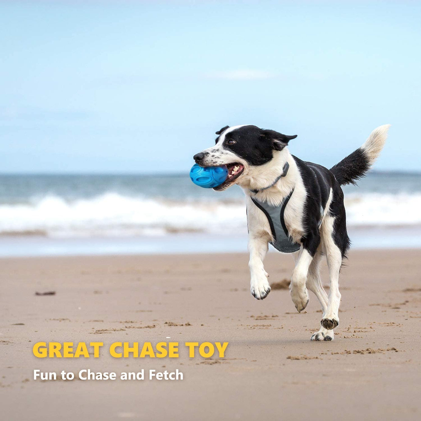 Pet Supplies Dog Toys Rubber Sounding Rugby Wear-resistant