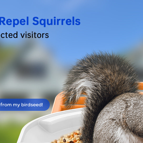 Smart Feeder Surveillance Wireless Camera