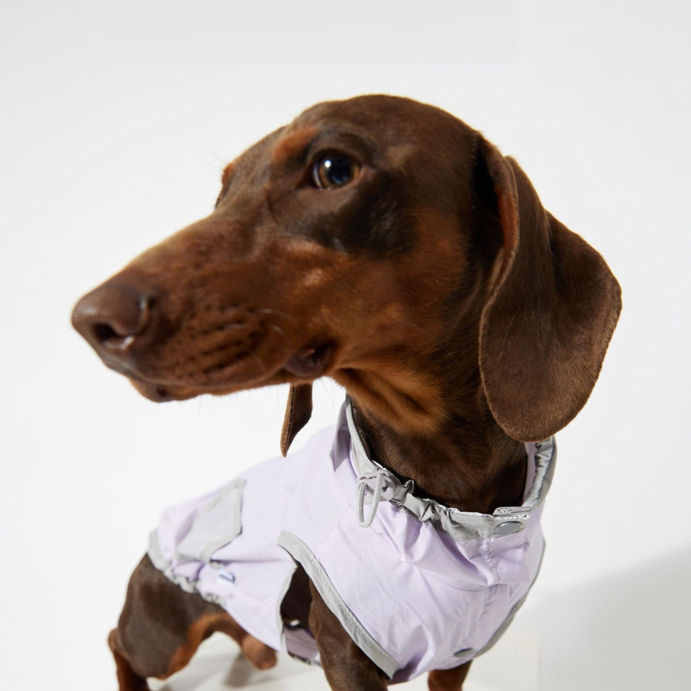 Dog Ultra-thin Vest Raincoat Water And Dirt Resistant Wind Shield