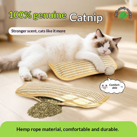 Cat Toy Catnip Pillow Scratching Post
