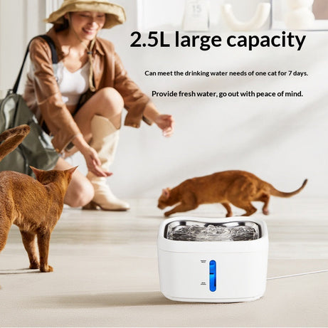 Smart Cat Water Fountain With Automatic Sensor And Wireless Power