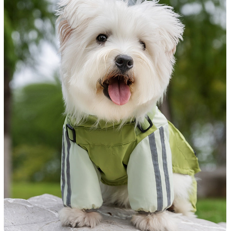Autumn And Winter Dog Small And Medium-sized Teddy Outdoor