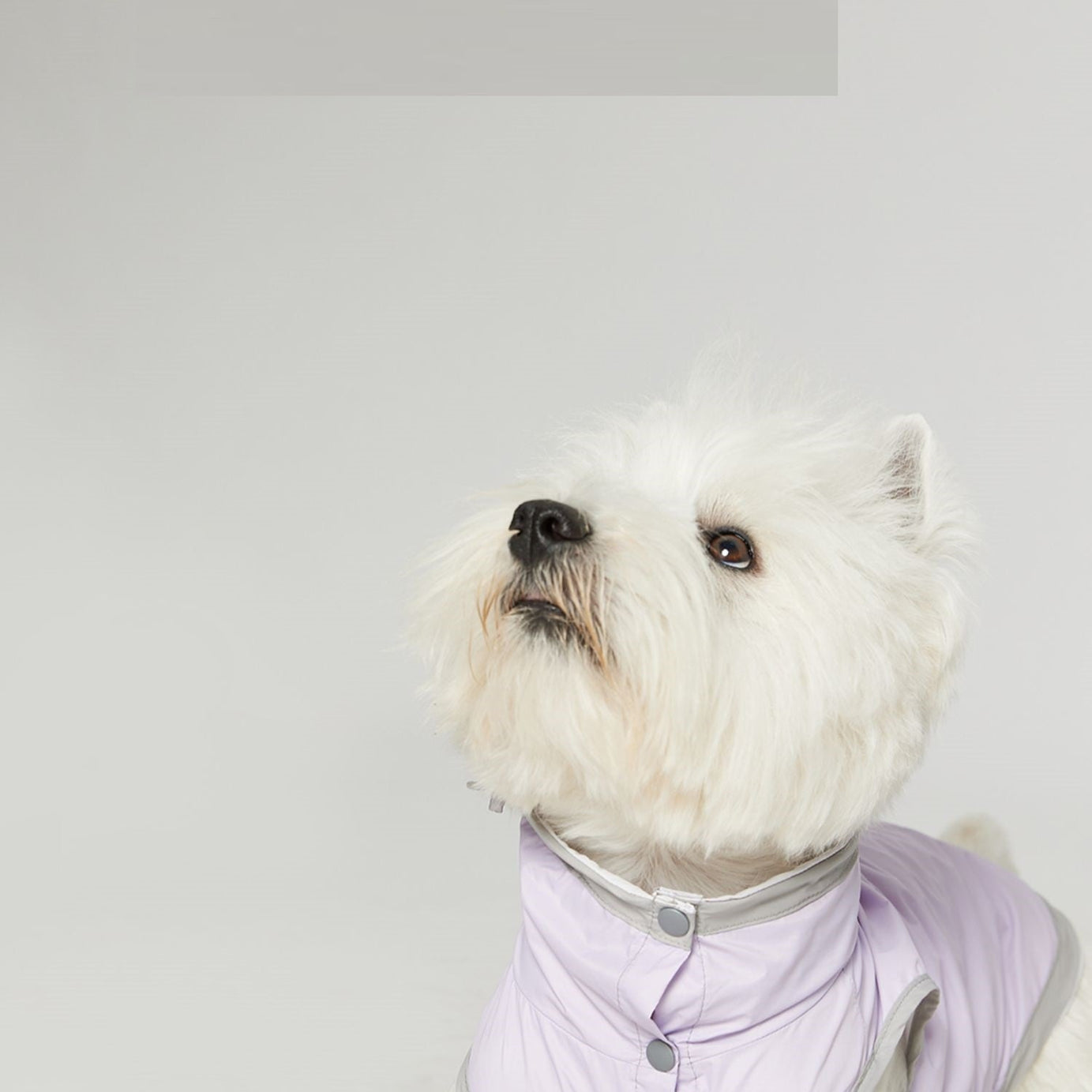 Dog Ultra-thin Vest Raincoat Water And Dirt Resistant Wind Shield