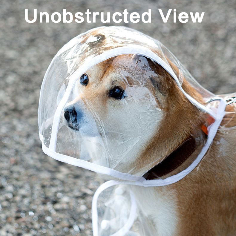 Pet Raincoat Transparent Dog