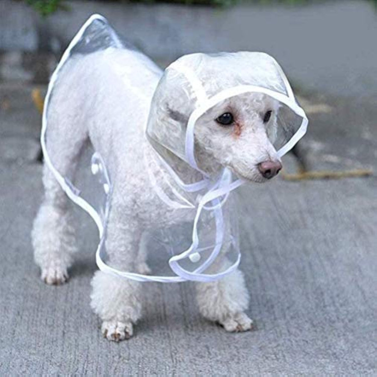 Clear Raincoat For Small Medium Dogs Pet Waterproof Clothes