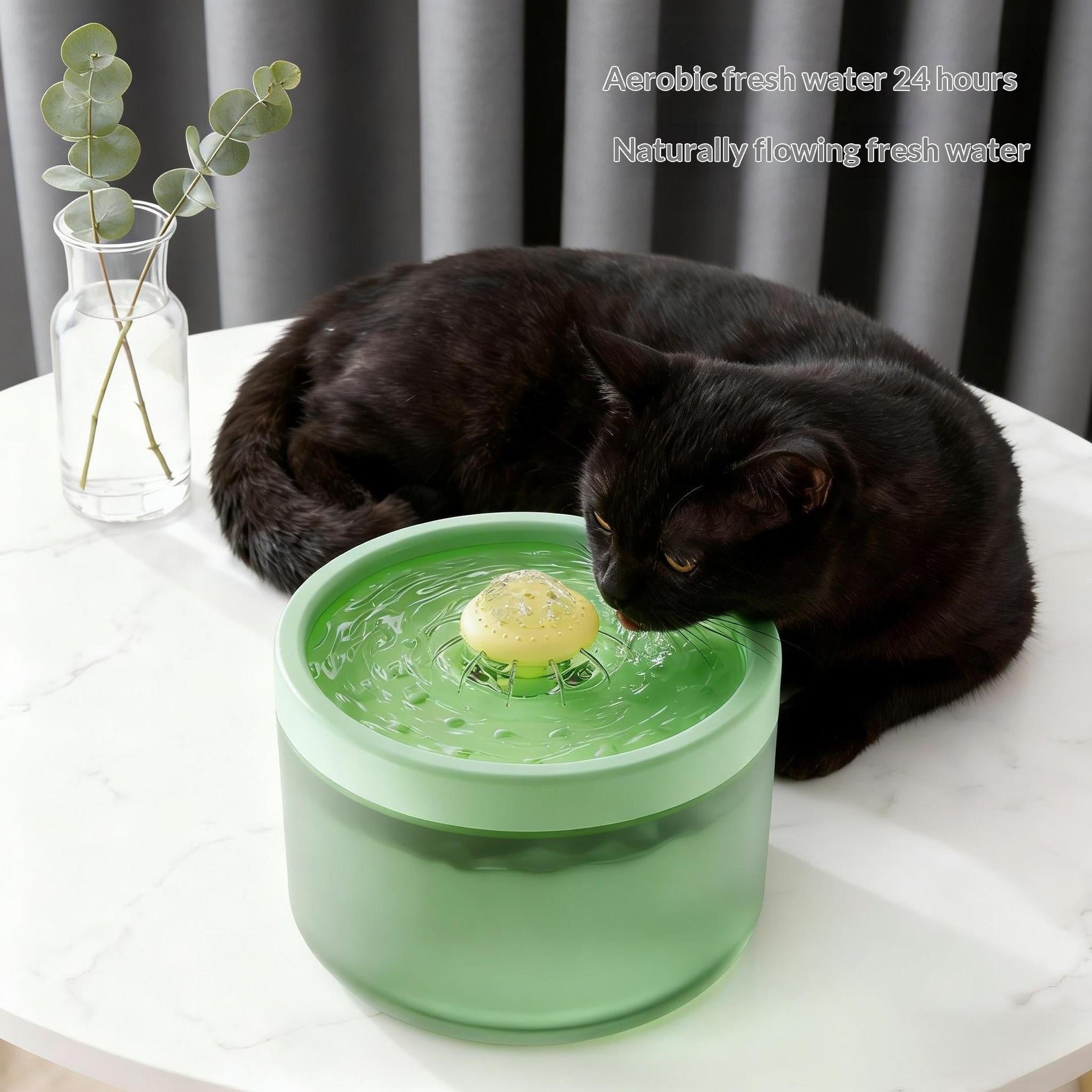 Automatic Filtering Circulating Pet Water Fountain