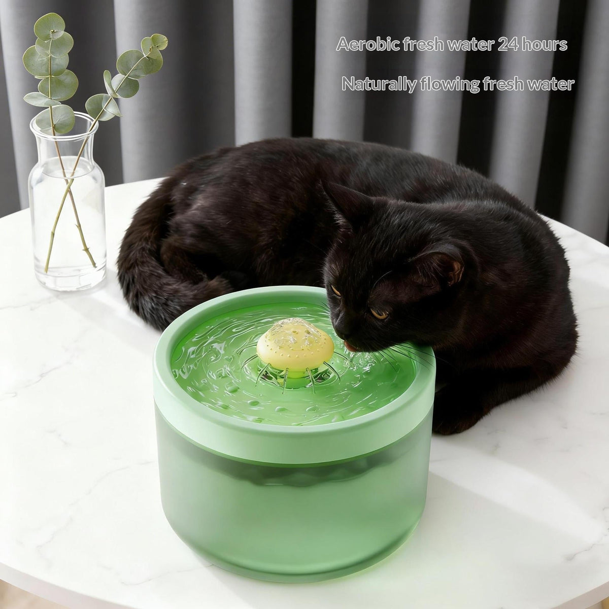 Automatic Filtering Circulating Pet Water Fountain
