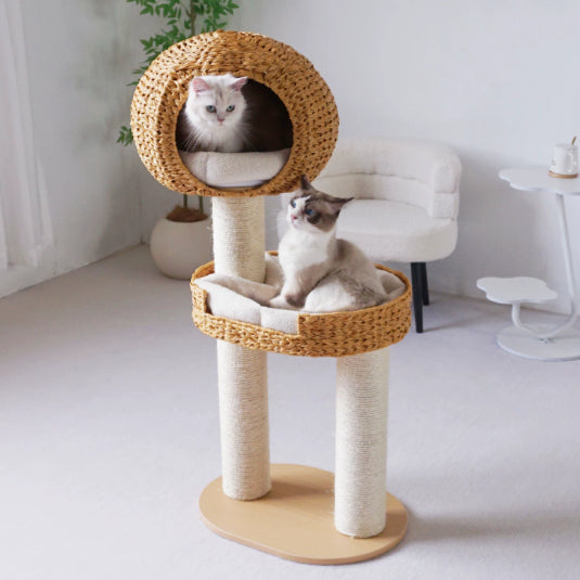 Green Song Woven Cat Climbing Frame With Thick Posts Tree Bed