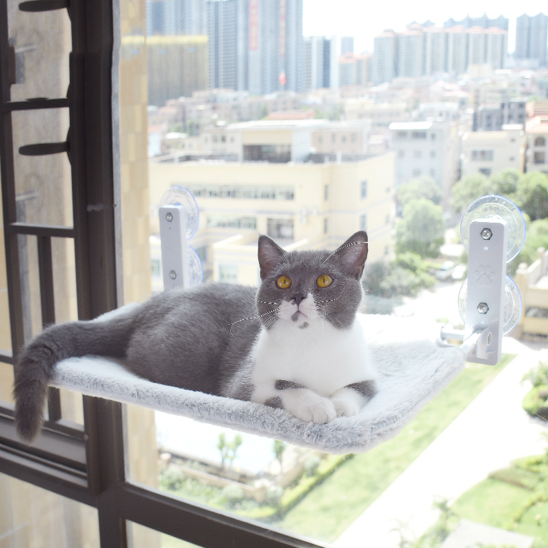 Cat Suction Cup Window Glass Hammock Pet Pets Products