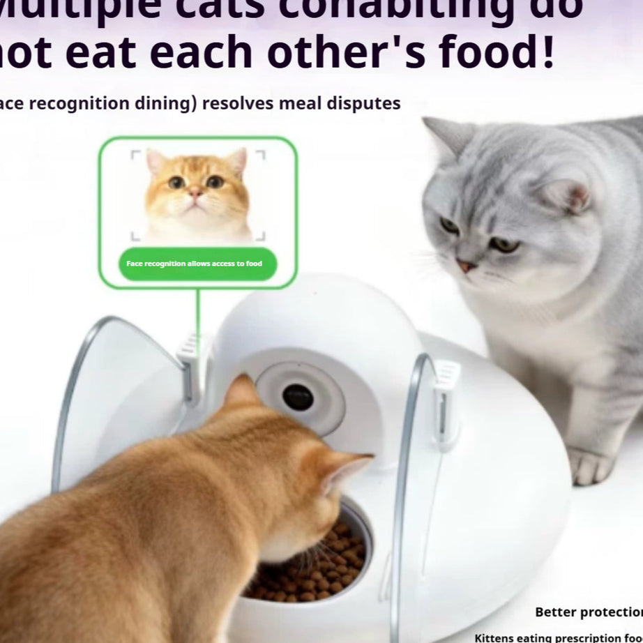 Smart Cat Feeder Ai Facial Recognition Multi Cats Video Camera Gen