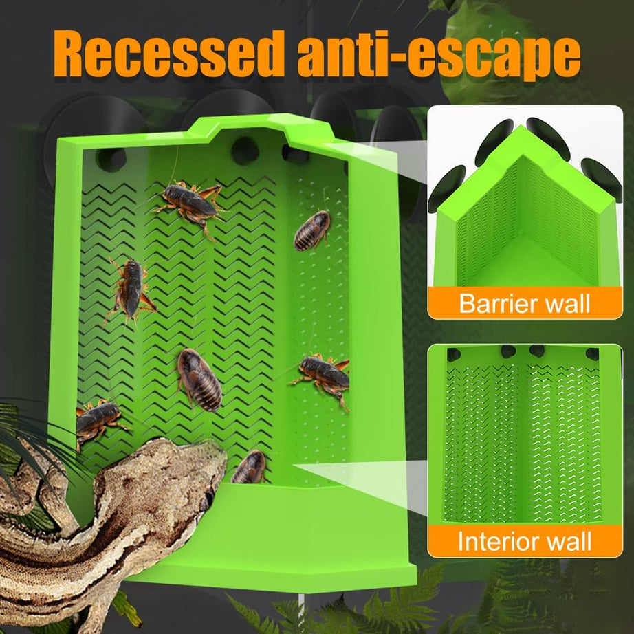 Bearded Dragon Feeder Corner Reptile Box Wall-mounted Terrarium