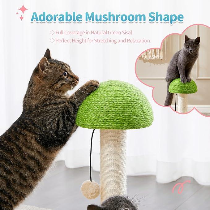 Mushroom Sisal Rope 2-in-1 Wooden Interactive Ball Track Cat