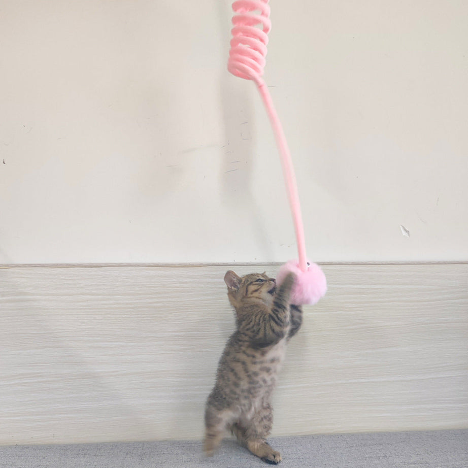 Cat Toy Self-hi Sucker Spring Rabbit Hair Ball Interactive Play Pet