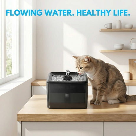 Ultra Silent Circulating Pet Drinking Fountain 3800ml Large Volume