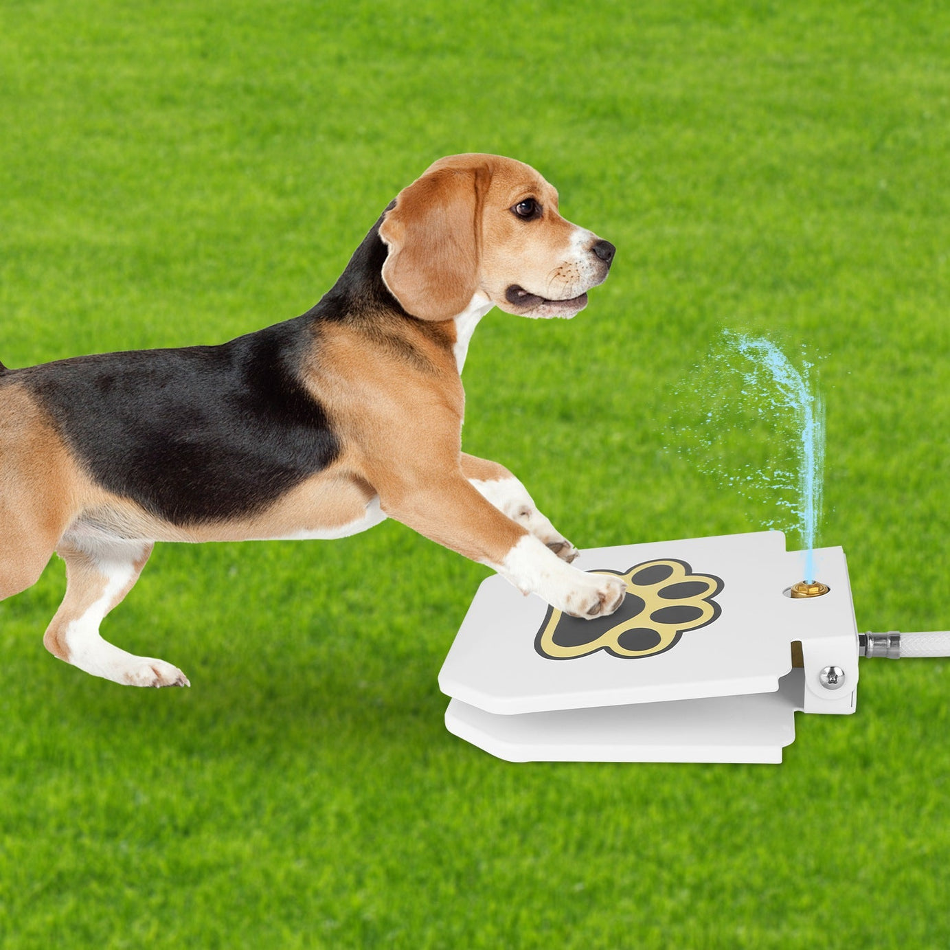 1pc Dog Water Fountain Outdoor Pet Dispenser Step-on Activated