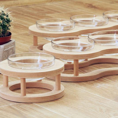 Pet Bowl Pet Food Utensils Cat