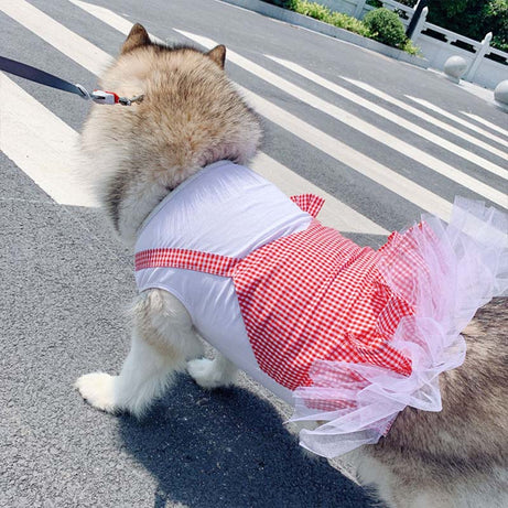 Dog Clothes Princess Costume Labrador Golden Retriever Big
