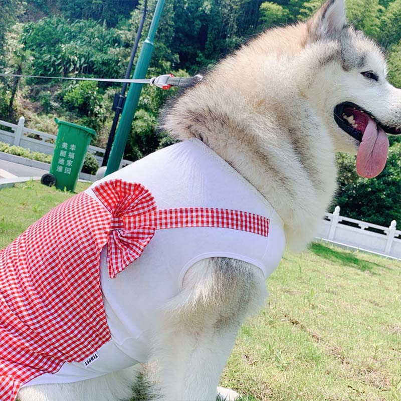 Dog Clothes Princess Costume Labrador Golden Retriever Big