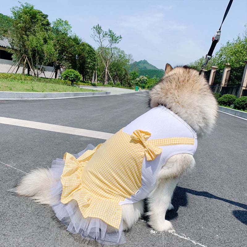 Dog Clothes Princess Costume Labrador Golden Retriever Big