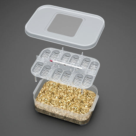 Reptile Gecko Egg Tray Lncubator Box Snake Lizard