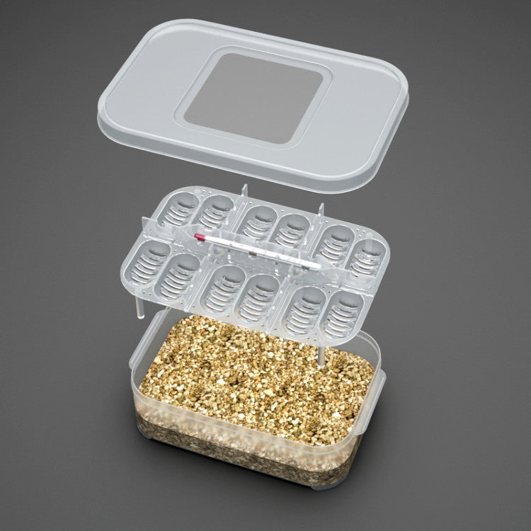 Reptile Gecko Egg Tray Lncubator Box Snake Lizard