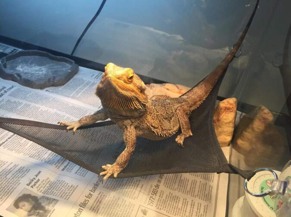 Reptile Hammock Lizard Snake Pet