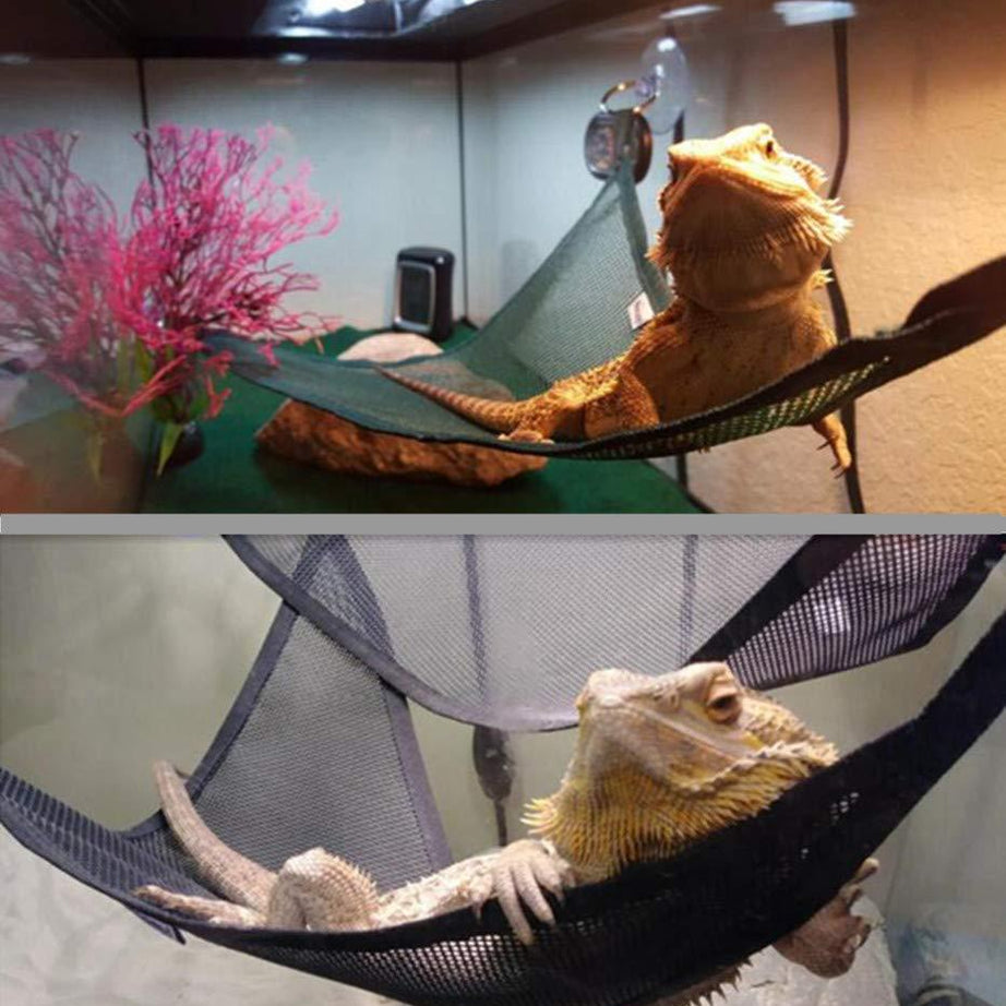 Reptile Hammock Lizard Snake Pet