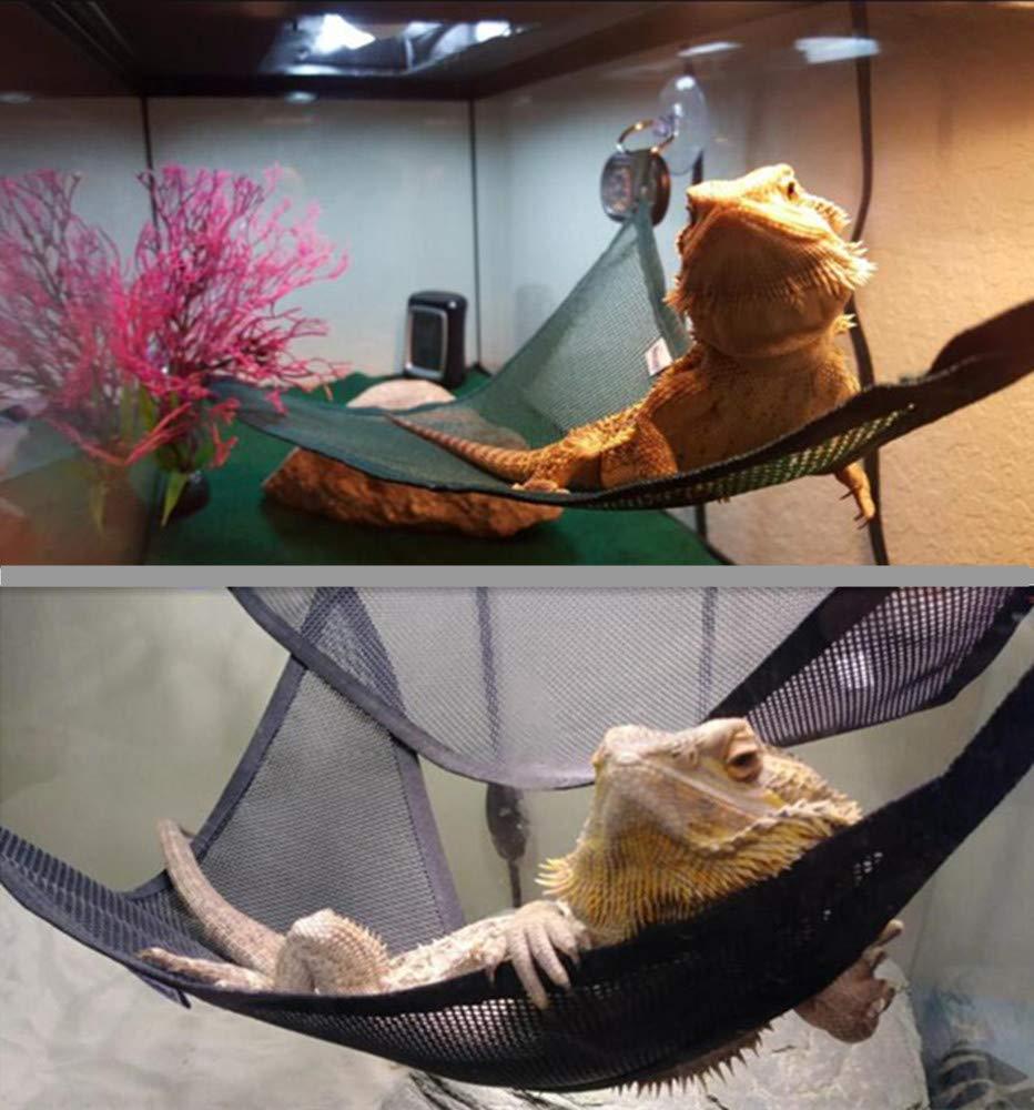 Reptile Hammock Lizard Snake Pet