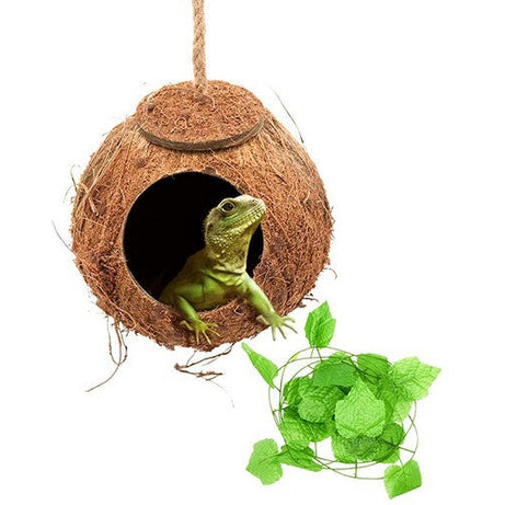Reptile Swing