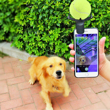 Pet Photo Props Toy Pet Selfie Artifact Funny Dog Camera Phone Clip