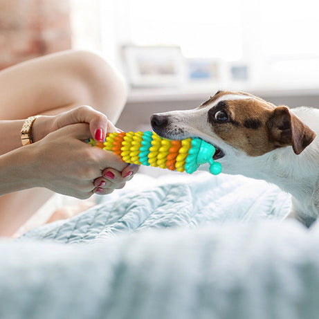 Pet Products Natural Rubber Dog Toothbrush Molar Stick