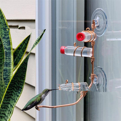 Garden Bird Feeder Supplies Hummingbird Drinker Suction Cup Easy