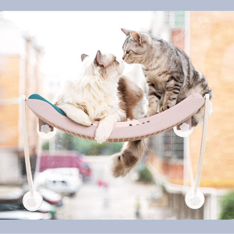 Cat Hammock Bask In The Sun Hanging