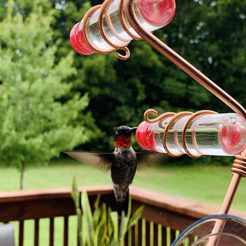 Garden Bird Feeder Supplies Hummingbird Drinker Suction Cup Easy