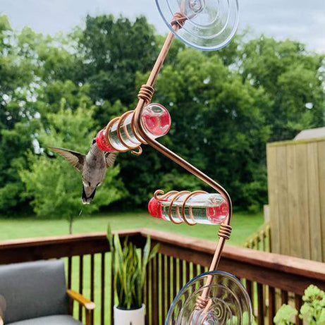 Garden Bird Feeder Supplies Hummingbird Drinker Suction Cup Easy