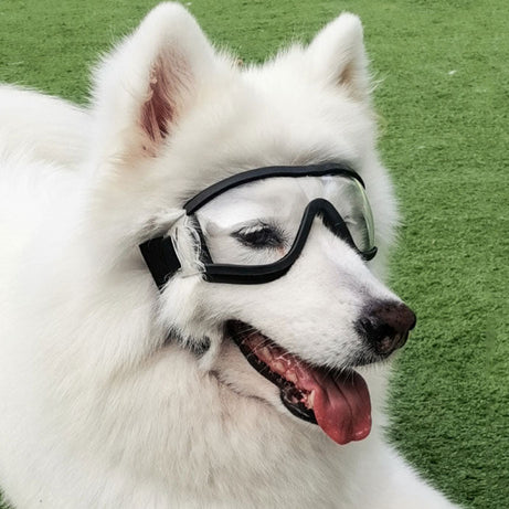 Pet Glasses Dog Sunglasses Law Fighting Supplies Strange Cat Small