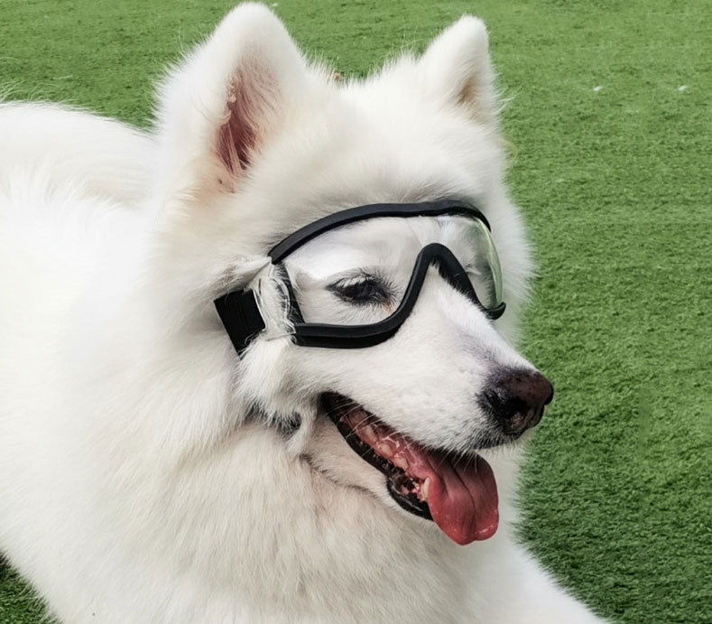 Pet Glasses Dog Sunglasses Law Fighting Supplies Strange Cat Small