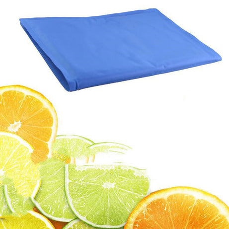 Ice Mat Summer Cooling Cushion Pet